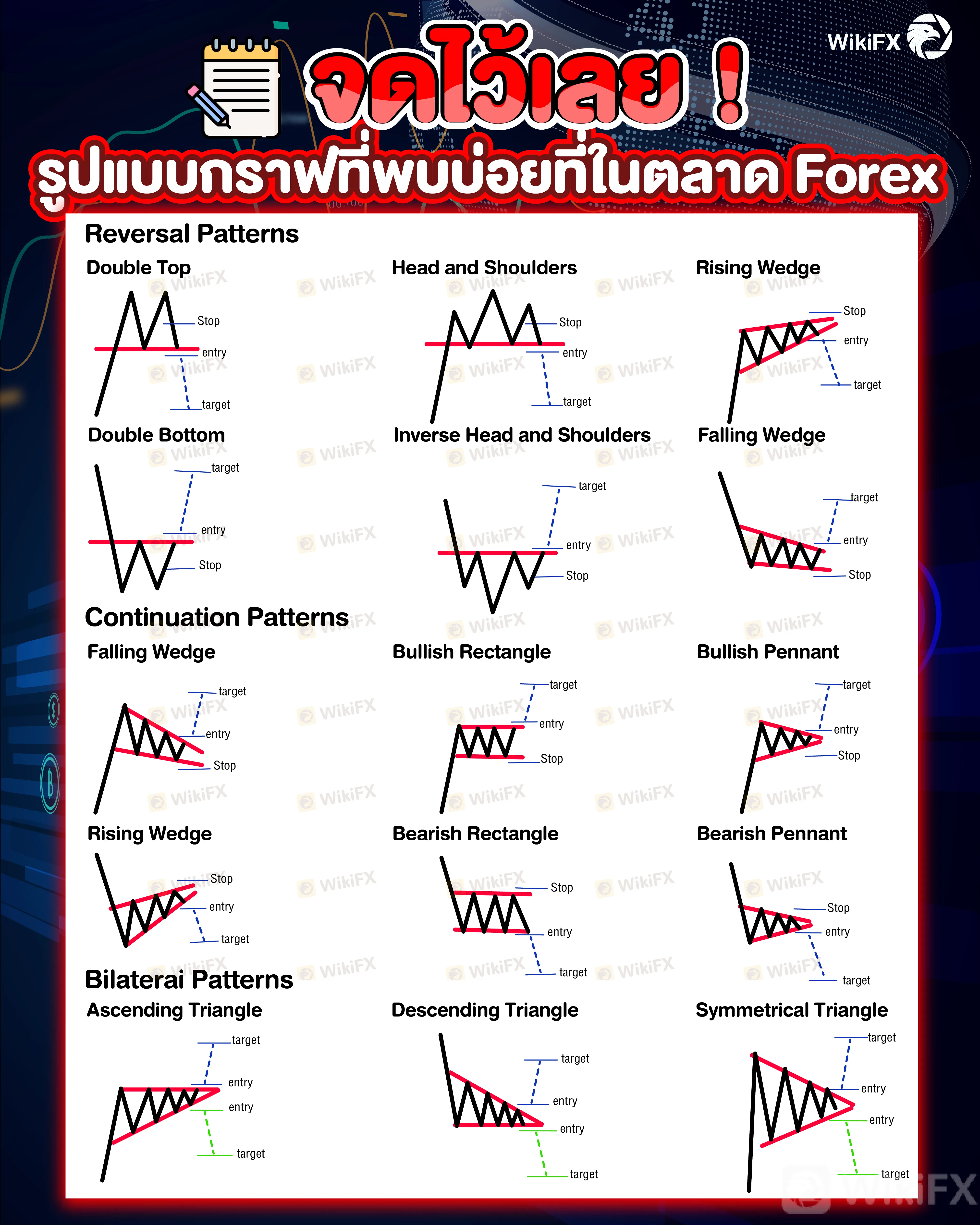 กราฟforex 