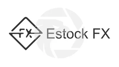 外匯天眼解析：如何判斷Estock FX是否安全？