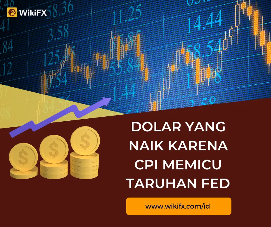 Dolar Dolar