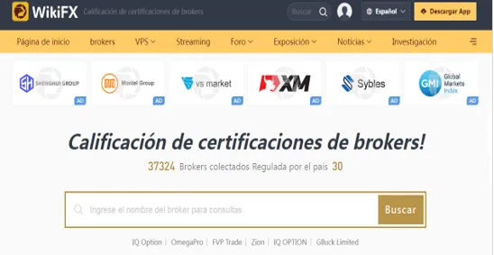 wikifx.png