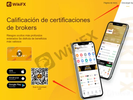 wikifx.png