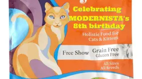 11/30: SOLID GOLD celebrate MODERNISTA's BIRTHDAY