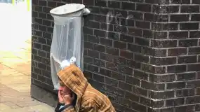 凡心所向 素履以往