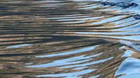 Tools for Brokers通过交易处理器改善流动性桥梁