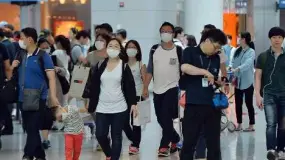 经济演绎法之疫冬天：股市大跌 黄金大将军被斩马下